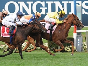 Nahrain (GB) - Horse Profile - BloodHorse