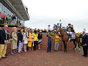 Skyring - Horse Profile - BloodHorse