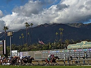 Santa Anita to Install New Turf Course - BloodHorse