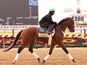 Goldencents - Horse Profile - BloodHorse