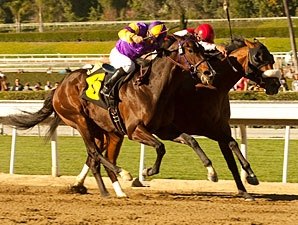 Anthony's Cross Lands Robert Lewis Knockout - BloodHorse