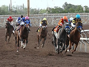 Chitu - Horse Profile - BloodHorse