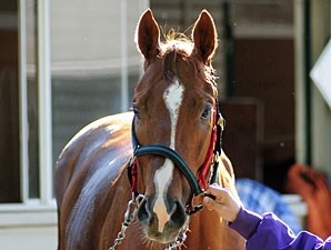 Rags to Riches Retired - BloodHorse