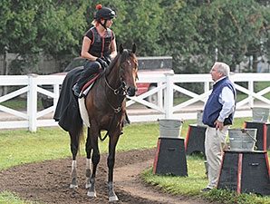 Orb - Horse Profile - BloodHorse