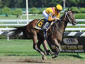 My Miss Aurelia - Horse Profile - BloodHorse