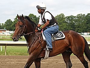 Medal Count - Horse Profile - BloodHorse