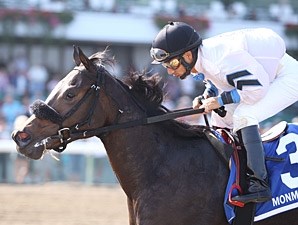 Flay Mignon - Horse Profile - BloodHorse