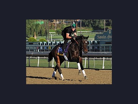 BloodHorse's Balan Earns Media Eclipse Award - BloodHorse