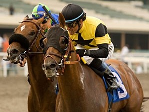 Awesome Gem - Horse Profile - BloodHorse