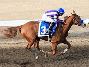 Princess Arabella - Horse Profile - BloodHorse