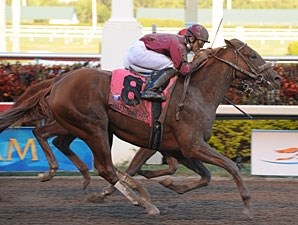 Ice Box - Horse Profile - BloodHorse