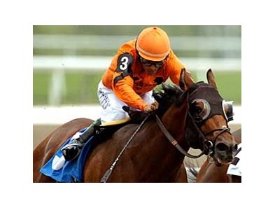 2008 Canadian Horse of the Year Fatal Bullet is among the finalists for the Canadian Hall of Fame