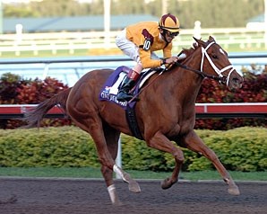 Game Face - Horse Profile - BloodHorse