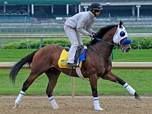 Sway Away - Horse Profile - BloodHorse