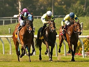 Charlie Em (GB) - Horse Profile - BloodHorse