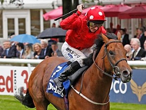 Mayson (GB) - Horse Profile - BloodHorse