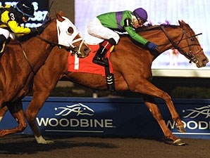 Athena Rose - Horse Profile - BloodHorse
