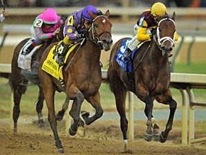 Awesome Feather - Horse Profile - BloodHorse