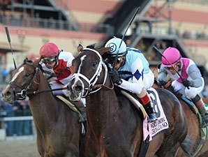 Normandy Invasion Ready for May 4 | BloodHorse.com