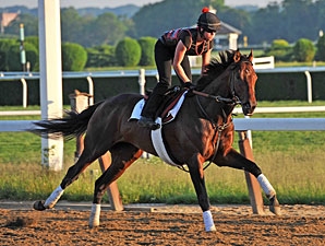 Orb - Horse Profile - BloodHorse