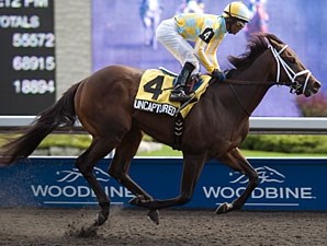 Uncaptured - Horse Profile - BloodHorse