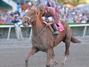 Ice Box - Horse Profile - BloodHorse