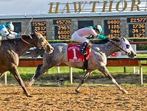 Redding Colliery - Horse Profile - BloodHorse