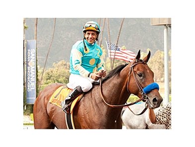 Riding high. American Pharoah Horse. Triple Crown Championship Horse. 1 Furlong to Racing Horse.