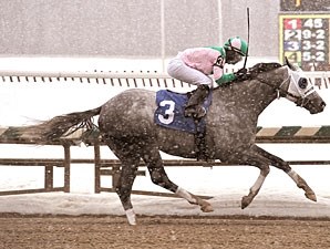 Redding Colliery - Horse Profile - BloodHorse