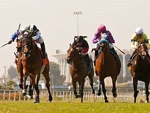 Charlie Em (GB) - Horse Profile - BloodHorse