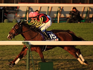 ジェンティル＆ジャスタ優勝、日本馬強し＝奥野庸介のドバイ