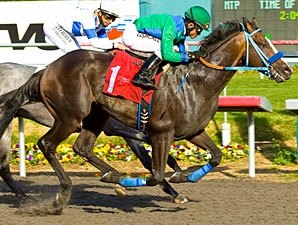 Lovacres Ranch Rally Back Empire Way, Swiss Yodeler to Lovacres Ranch - BloodHorse