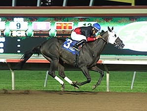 Castletown Horse Profile BloodHorse