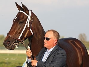 My Miss Aurelia Horse Profile BloodHorse