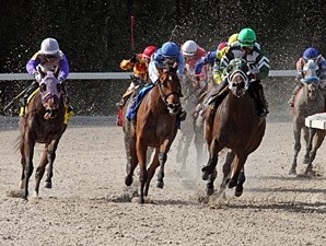 Scandalous Act - Horse Profile - BloodHorse