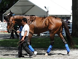 Moreno - Horse Profile - BloodHorse