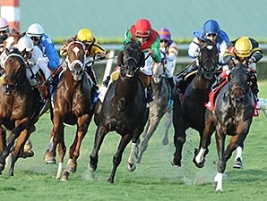 Summer Front - Horse Profile - BloodHorse