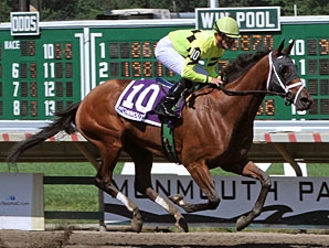 Quiet Giant - Horse Profile - BloodHorse