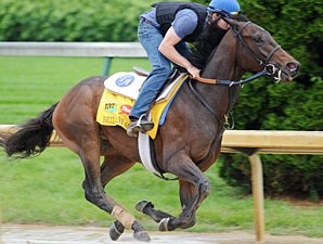 Brilliant Speed - Horse Profile - BloodHorse