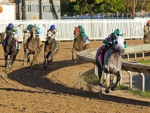 Redding Colliery - Horse Profile - BloodHorse