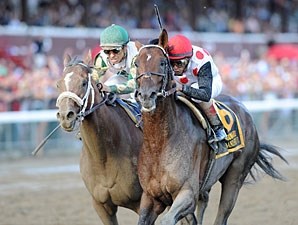 To Honor and Serve - Horse Profile - BloodHorse