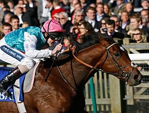 Frankel (GB) - Horse Profile - BloodHorse