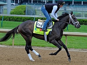 Charming Kitten - Horse Profile - BloodHorse