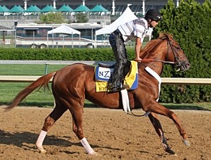 Ice Box - Horse Profile - BloodHorse