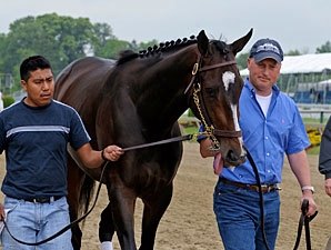 Rachel Poses for Vogue; 'Bird' Gallops - BloodHorse