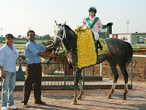Redding Colliery - Horse Profile - BloodHorse