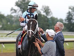 Verrazano Horse Profile BloodHorse