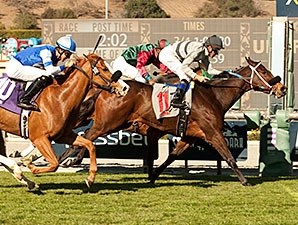 Ciao Bella Luna - Horse Profile - BloodHorse