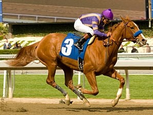 Princess Arabella - Horse Profile - BloodHorse