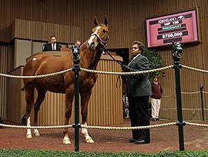 Princess Arabella - Horse Profile - BloodHorse